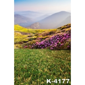 Beautiful Purple Flowers on Mountaintop Scenic Photo Drop Background