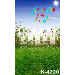 Balloon Sky Wooden Fence Vinyl Kid's Stage Backdrops