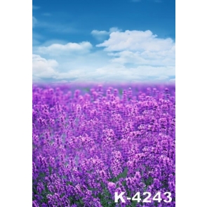 Lavender Flowers Garden White Clouds Scenic Photography Background Props