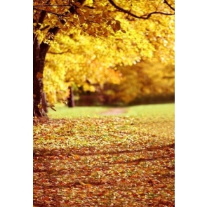 Yellow Autumn Fall Garden Vinyl Backdrops for Photography