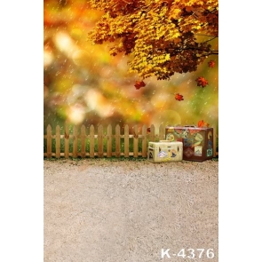 Autumn Fall Yellow Trees Rainy Garden Backdrop Background