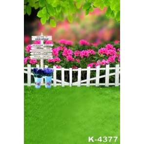 Spring Rose Red Flowers Garden Professional Photo Backdrops