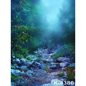 Dreamy Stones Gravel Path in Groves Scenic Backdrop Background for Photography