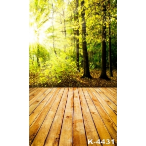 Sunshine Through Groves Wood Floor Garden Backdrop Background