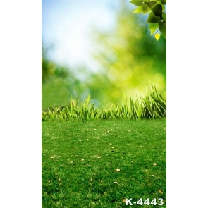 Spring Green Grassland Backdrop Background for Photography