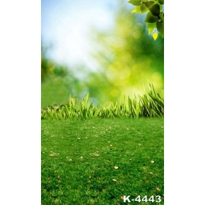 Spring Green Grassland Backdrop Background for Photography