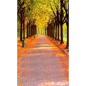 Forest Path Maple Leaves Scenic Backdrops Studio Background Vinyl Photography Backdrops
