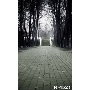 Scenic Backdrops Darkened Trees Road Studio Background Vinyl Photography Backdrops