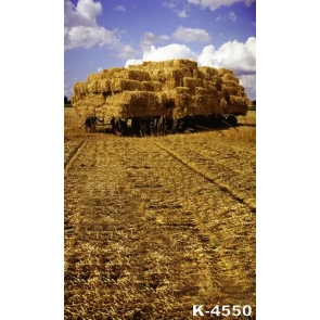 Rice Straws in Farms Scenic Professional Photography Backdrops