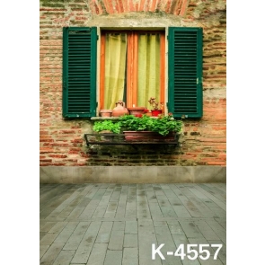 Scenic Backdrops Beautiful Windowsill Green Plants Building Studio Background Vinyl Photography Backdrops