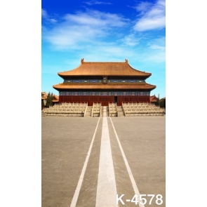 Chinese Ancient Audience Hall Building Scenic Backdrops Studio Background Vinyl Photography Backdrops