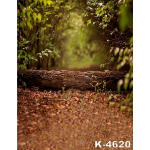 Natural Scenery in Groves Trees Lay in Middle of Road Photo Backdrop