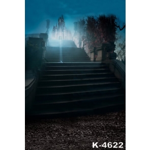 Nightscape Stairs to Castle Building Photographic Backdrops