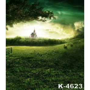 Castle on Green Suburban in Fairy Tales Photography Backgrounds and Props