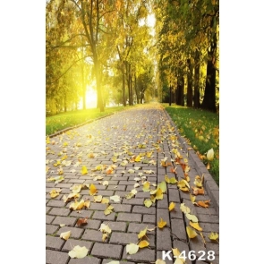 Autumn Fall Fallen Leaves Park Path Photography Backgrounds and Props
