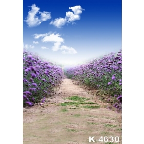Lavender Farm Garden Purple Flowers Road Pro Photo Backdrops