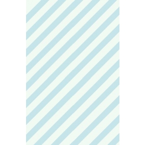 Blue White Diagonal Stripes Vinyl Personalized Backdrop