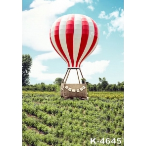 Rustic Hot Air Balloon Wedding Backdrops for Photography