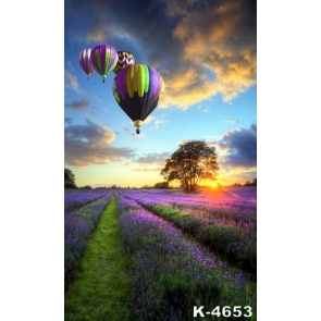 Multicolor Hot Air Balloons above Lavender Garden Photography Backgrounds