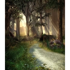 Groves in Fairy Tales Forest Path Scenic Photography Studio Backdrop