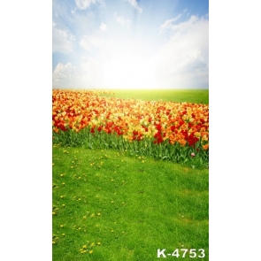 Beautiful Colorful Flowers Green Grassland Unique Photo Backdrops