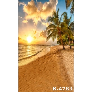 Sunset Scenery Palm Tree Beach Backdrop Scenic Photo Background