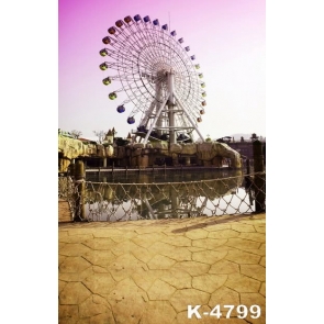 Ferris Wheel in Public Garden Vinyl Photography Backdrops