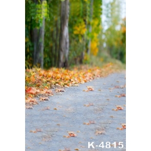 Autumn Yellow Fallen Leaves Roadside Scenic Photo Prop Background