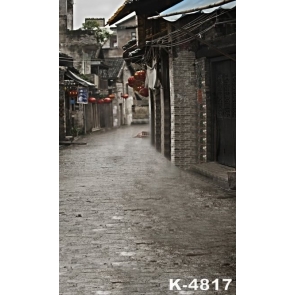 Retro Chinese Brick Houses Street Scenic Photography Studio Background