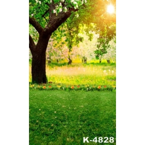 Spring Green Grassland Flowers Trees Garden Backdrop Background