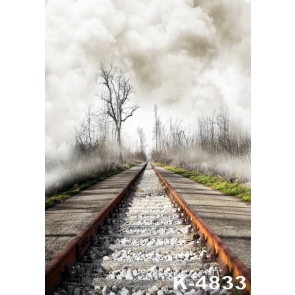 Railway Train Track Cloudy Scenic Photo Prop Background