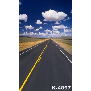 Road in Wide Stretch of Grassland Scenic Backdrops Stage Background Vinyl Photography Backdrops