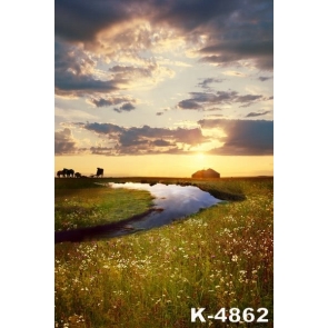 Vast Grassland Flowers River Cows Beautiful Scenery Photo Prop Background