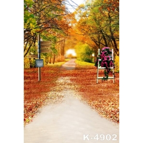 Autumn Fall Yellow Trees Leaves Road in Garden Photography Background Props