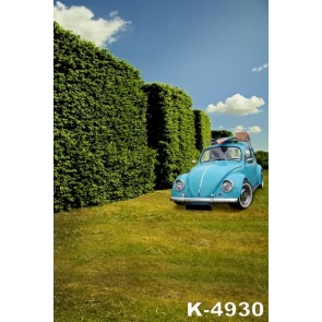 Scenic Backdrops Blue Car on the Lawn Vinyl Photography Backdrops