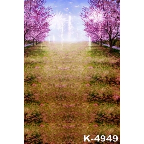 Romantic Cherry Blossoms Fireworks Drop Studios Backdrops