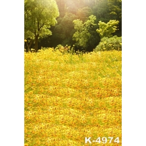 Green Trees Yellow Flowers in Wild Field Rustic Backdrops for Photography