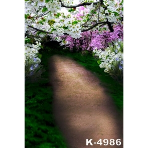 White Pear Blossoms Country Road Scenic Photography Background Props