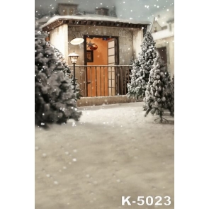 Winter White Snow Trees House Vinyl Backgrounds For Photography