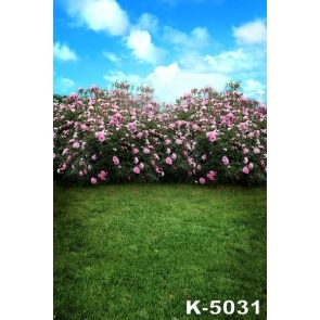 Green Grassland Pink Flowers Blue Sky White Clouds Pro Photo Backdrops