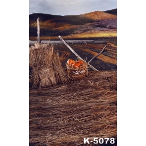 Straw in the Farm Pumpkin in Basket Scenic Photo Backdrop