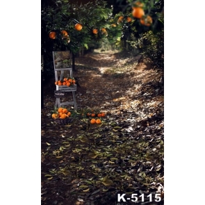 Orange Garden Citrus Orchard Scenic Drop Studios Backdrops