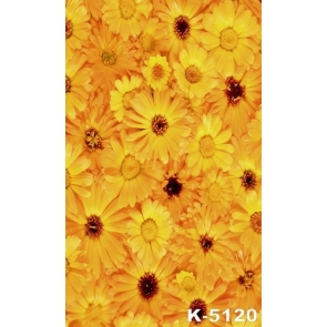 Full of Yellow Sunflowers Newborn Baby Photography Backdrops