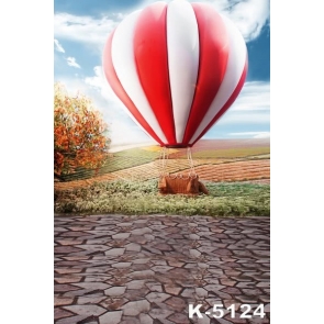 Hot Air Balloon in Countryside Field Scenic Wall Background Vinyl Photo Backdrops