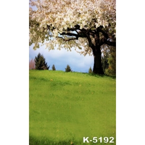 White Flowers Big Tree Green Grassland Scenic Photo Drop Background