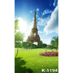 Sunny Day Paris Eiffel Tower Scenic Backdrops Vinyl Background