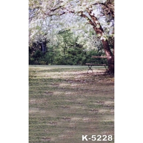 Bench under Big Tree in Park Garden Pro Photo Backdrops