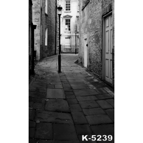 Narrow Alley Flagstone Walk Building Vinyl Backdrops Studio Background