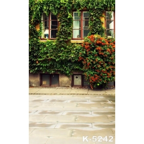 Old House with Green Plants Building Vinyl Photography Backdrops