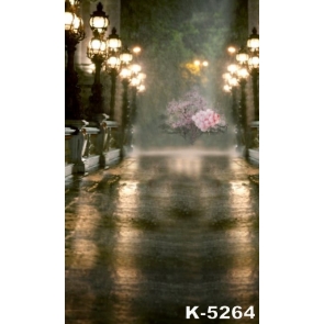 Aesthetical Night Street Lamp Light Flowers Backdrop Scenic Backdrops